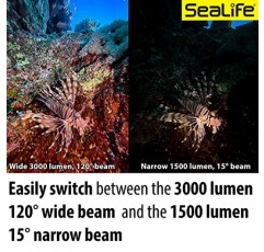 SeaLife Sea Dragon 3000SF Pro 듀얼 빔 소형 수중 스쿠버 다이빙 사진-비디오 COB LED 조명, 2빔 각도 조명 키트(SL679)