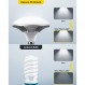 RALENO® 소프트박스 조명 키트, 50W 5500K LED 전구가 포함된 소프트박스 사진 조명, 사진 촬영 및 비디오 녹화용 20'X20' 반사 조명