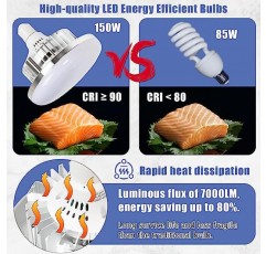 옥타곤 소프트박스 조명 키트, 리모컨 2개/ 3000-7500K 150W LED 전구 2개, 전방위 360° 조정 소프트박스, 비디오 녹화 및 사진 촬영을 위한 사진 연속 조명 키트