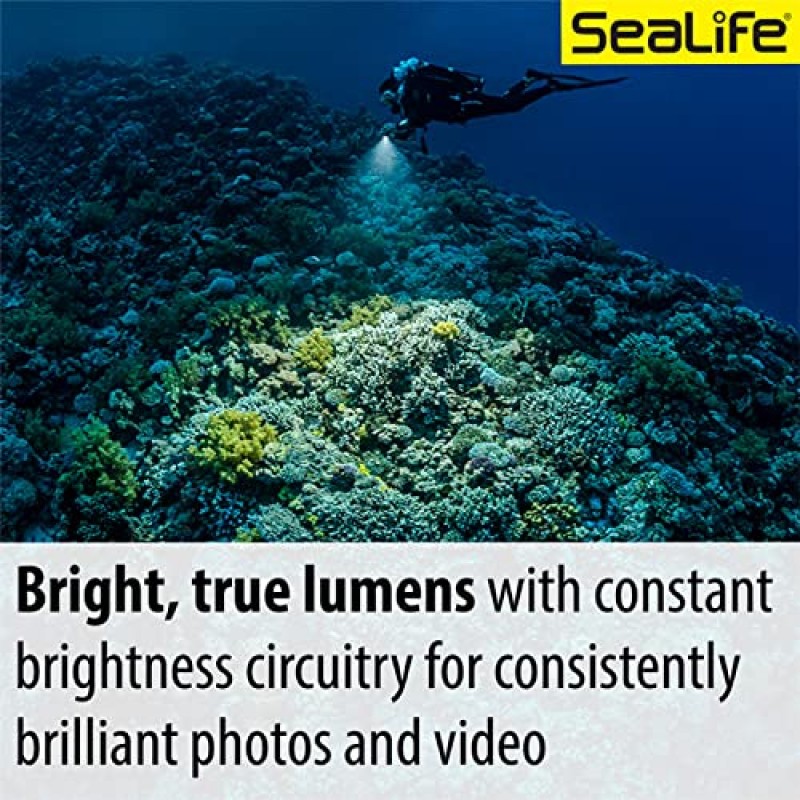 SeaLife Sea Dragon 3000SF Pro 듀얼 빔 컴팩트 수중 스쿠버 다이빙 사진-비디오 COB LED 조명, LED 조명 헤드만, (SL6791)