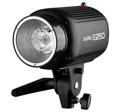 Godox E250 미니 사진 스튜디오 스트로브 플래시 조명 램프 헤드, 250Ws 전력, 5600K 색온도, 110V