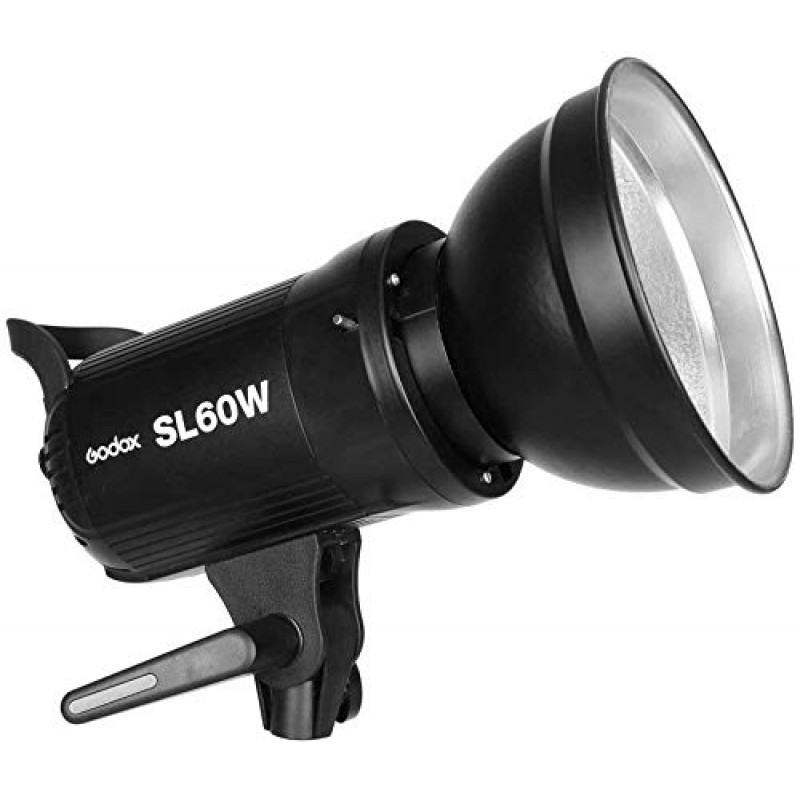 GODOX SL-60W 2X 60W LED 비디오 조명 +FW 60 x 90 cm 소프트박스, 조명 스탠드, 허니컴 그리드, 리모컨 포함, 영화 스튜디오, 사진 스튜디오에 적합