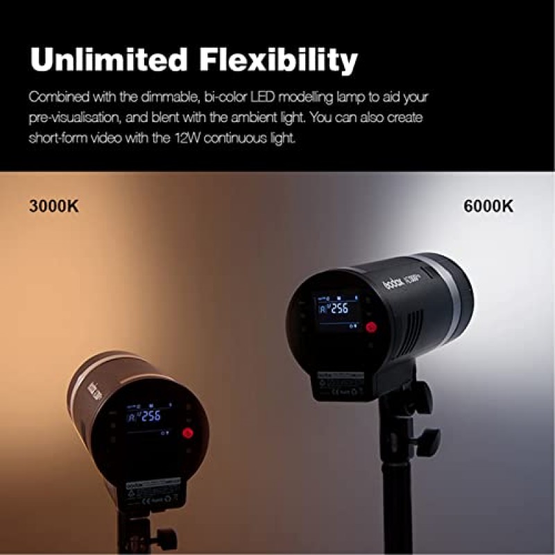 Godox AD300 Pro AD300Pro 플래시 스트로브 모노라이트, 300Ws 실외 플래시, 충전식 리튬 배터리, Nikon Canon Sony Fuji Olympus Panasonic 카메라와 호환되는 2.4G HSS 1/8000s 휴대용 플래시