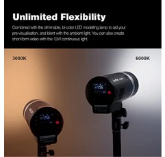 Godox AD300 Pro AD300Pro 플래시 스트로브 모노라이트, 300Ws 실외 플래시, 충전식 리튬 배터리, Nikon Canon Sony Fuji Olympus Panasonic 카메라와 호환되는 2.4G HSS 1/8000s 휴대용 플래시