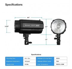 LimoStudio 300W 5600K 플래시 스트로브 모노라이트(실내 스튜디오 위치 모델링 램프 및 인물 야외 스튜디오 사진 촬영용 16채널 무선 트리거 및 수신기 키트 포함), AGG3133