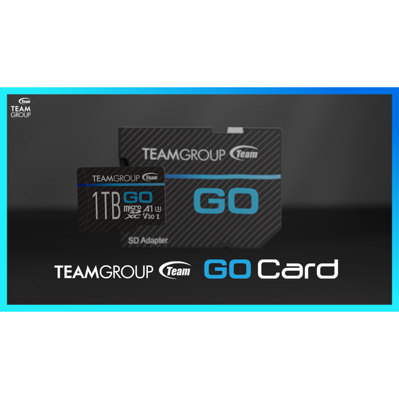 TEAMGROUP GO 카드 128GB 10 팩 GoPro 및 드론 및 액션 카메라용 마이크로 SDXC UHS-I U3 V30 4K 야외 스포츠, 4K 촬영, Nintendo-Switch TGUSDX128GU366용 어댑터가 포함된 고속 플래시 메모리 카드