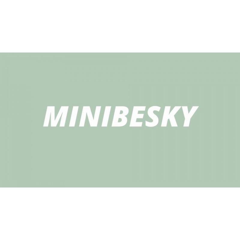 자기 무선 충전 기능이 있는 Minibesky Pencil 2세대, Apple Pencil 자기 충전기 포함