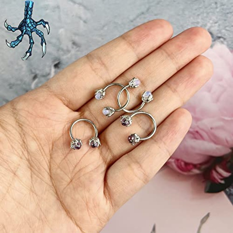JEWPARK 4Pcs 316L 스테인레스 스틸 원형 귀걸이 드래곤 발톱 연골 귀걸이 귀 바디 피어싱 쥬얼리 헬릭스 귀걸이 피어싱