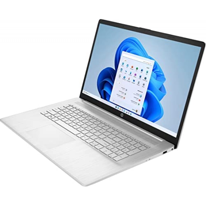 HP 17.3인치 플래그십 HD+ 비즈니스 노트북, 16GB DDR4 RAM, 1TB PCIe SSD, Intel 쿼드 코어 i3-1125G4(Beat i5-1035G4), 블루투스, HDMI, 웹캠, Windows 11, 실버, GM 액세서리 포함