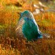 LONGWIN 수제 유리 새 입상 불어 예술 동물 조각 홈 인테리어 탁상 중심 장식