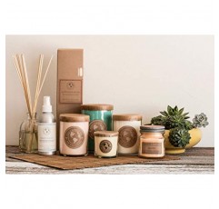 Eco Candle Co. 티 라이트 양초, 스털링 로즈, 10팩 - 그린 노트 향, 신선한 컷 장미, 꽃, 머스크 - 재활용 가능, 100% 소이 왁스, 납 없음, 손으로 제작, 6 oz. 각각, 중서부 대두