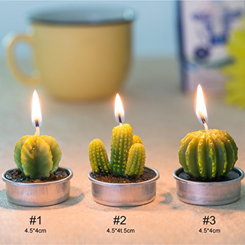 선인장 Tealight 양초, 파티 웨딩 스파 홈 인테리어 선물을위한 12 조각 수제 섬세하고 즙이 많은 선인장 양초