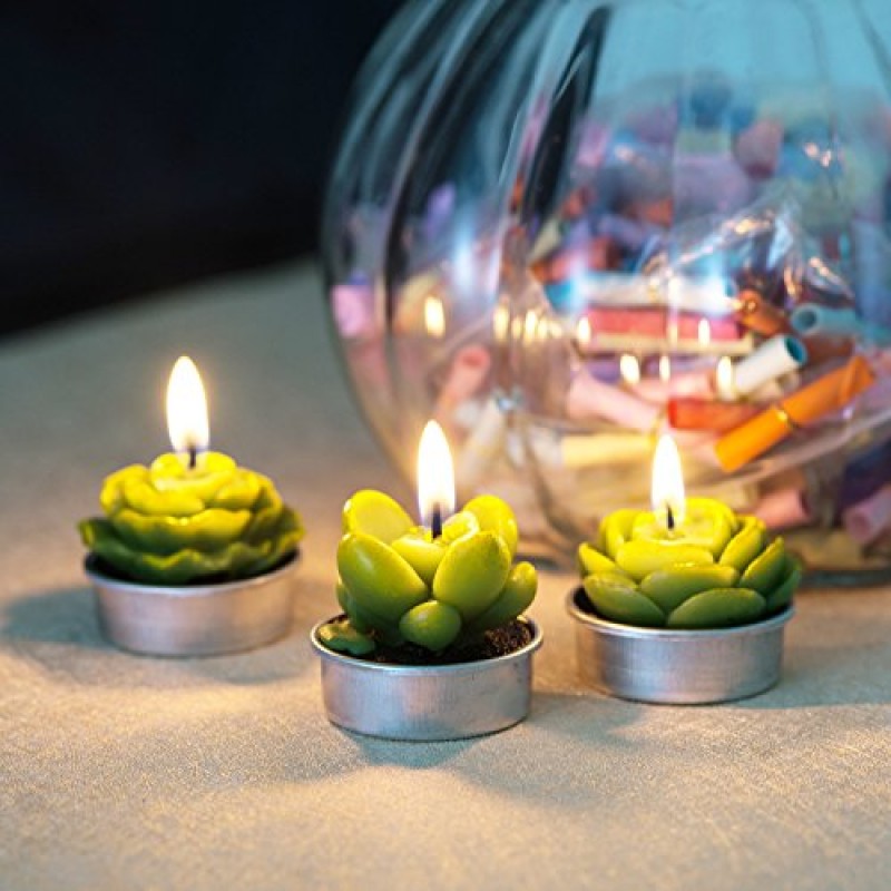 선인장 Tealight 양초, 파티 웨딩 스파 홈 인테리어 선물을위한 12 조각 수제 섬세하고 즙이 많은 선인장 양초