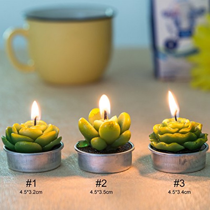 선인장 Tealight 양초, 파티 웨딩 스파 홈 인테리어 선물을위한 12 조각 수제 섬세하고 즙이 많은 선인장 양초