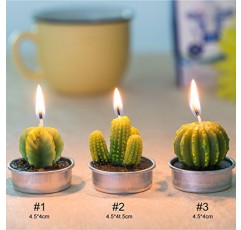 선인장 Tealight 양초, 파티 웨딩 스파 홈 인테리어 선물을위한 12 조각 수제 섬세하고 즙이 많은 선인장 양초