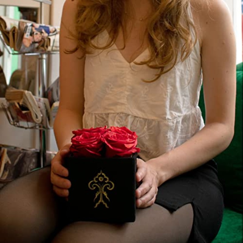프리미엄 장미 | 졸리 블랙 박스 빨간 장미 | 365일 지속되는 진짜 장미 | 보존된 장미, 수제, 발렌타인 데이, 크리스마스, 결혼식 또는 어떤 행사에도 딱 맞습니다(빨간색)