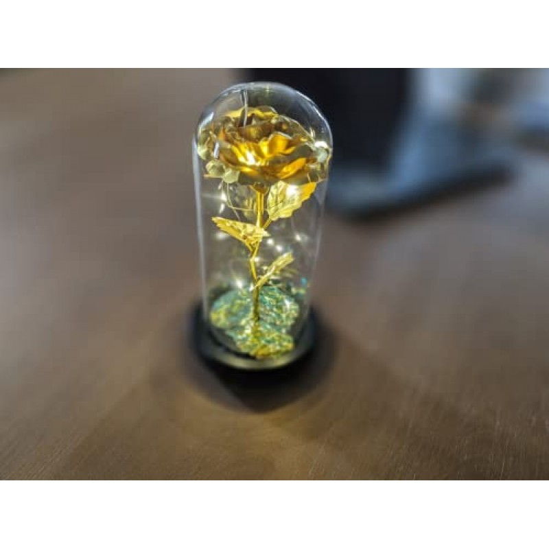 LED 조명을 갖춘 투명 유리 돔의 수제 보존 장미 - 어떤 경우에도 놀랍고 독특한 선물 인공 꽃 | 배터리 포함(골드)