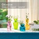 현대 컬러 유리 새싹 꽃병 대량 세트: Glasseam 8Pcs 작은 미니 꽃 중앙 장식품 꽃병 수제 장식 귀여운 짧은 창 코너 결혼식 피로연 식탁 싱글 로즈를위한 홈 장식