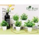 Der Rose 6 팩 가짜 식물 홈 오피스 농가 욕실 선반 장식 실내를위한 미니 인공 식물