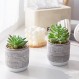 CEWOR 인공 다육 식물 3 팩 미니 가짜 식물 욕실 장식 미적 거실 침실 미적 홈 주방 장식