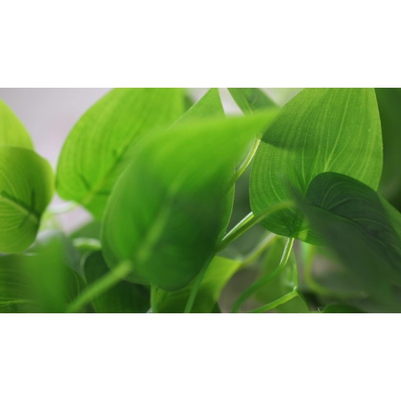 WXBOOM 작은 가짜, 인공 화분 가짜 아이비 덩굴 식물 선반용 식물 Pothos 홈 오피스 실내 옥외 정원 녹지 장식 2.84ft (검은색 냄비)