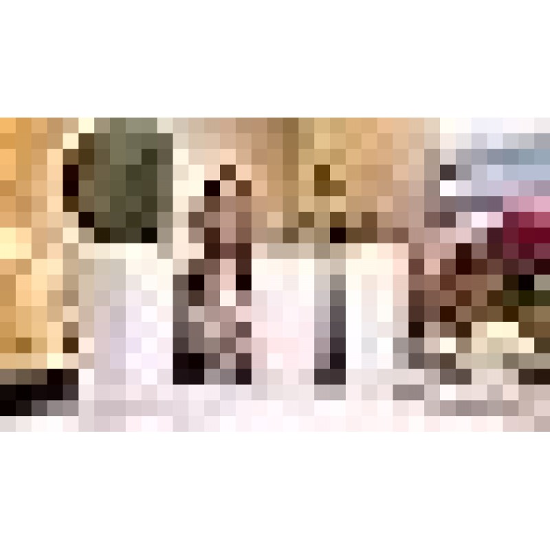 N. NETDOT 3팩 10L/2.6갤런 뚜껑이 있는 소형 쓰레기통, 팝업 뚜껑이 있는 욕실 쓰레기통, 욕실용 쓰레기통, 주방, 침실, 파우더룸, 공예실, 사무실, 대학(황색)