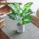 WUKOKU 16 "작은 가짜 식물 인공 화분 가짜 식물 홈 오피스 농가 주방 선반 실내 장식을위한 책상 공장