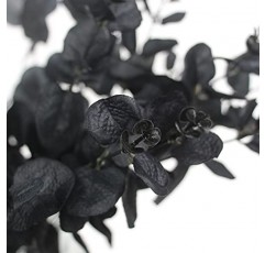 Tinsow 5 Pcs 검은 인공 유칼립투스 줄기 가짜 유칼립투스 가지 검은 잎 할로윈 중심 할로윈 홈 장식 (검은색, 5)