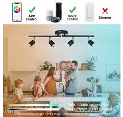 CANEOE 스마트 4등 검정색 Led 트랙 조명기구, 1600만 RGB 색상 변경 천장 트랙 조명 Alexa/Google 홈/앱 사용, 주방, 거실, 침실, 바용 천장 스포트라이트