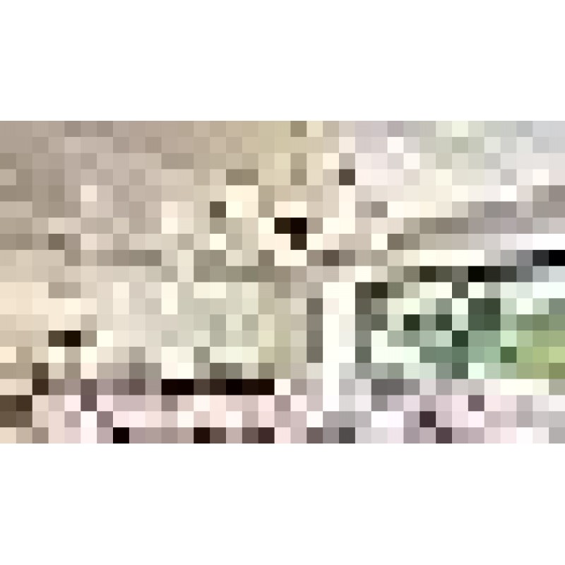 WJShome 빈티지 5 조명 골드 유리 펜던트 조명 소박한 스타일 샹들리에 무광택 다이닝 룸, 주방 아일랜드, 현관 용 크리스탈 유리 그늘이있는 골동품 황동 마감