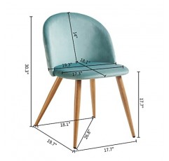 FurnitureR 식사 의자 벨벳 쿠션 금속 다리가 있는 현대적인 세기 중반 사이드 의자, 주방/거실/식당용 덮개를 씌운 악센트 의자, 1개 세트, 레이크 그린