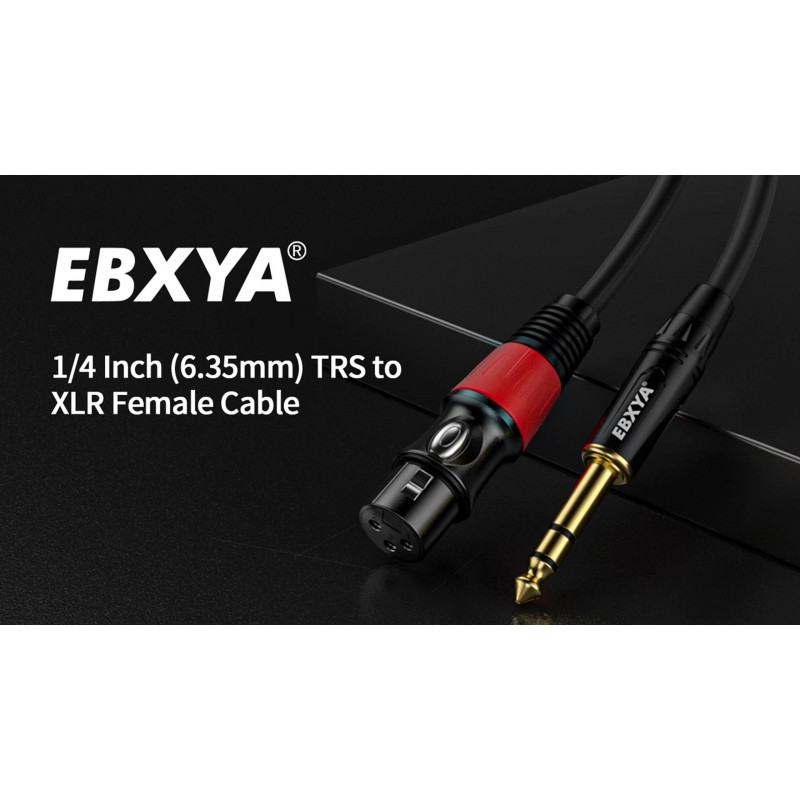 EBXYA XLR 암 - 1/4인치 TRS - 밸런스형 XLR 마이크 케이블 - 6.35mm 잭 리드, 3피트 2팩