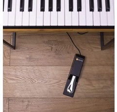 M-Audio SP-2 - MIDI 키보드, 디지털 피아노 등을 위한 피아노 스타일 액션을 갖춘 범용 서스테인 페달