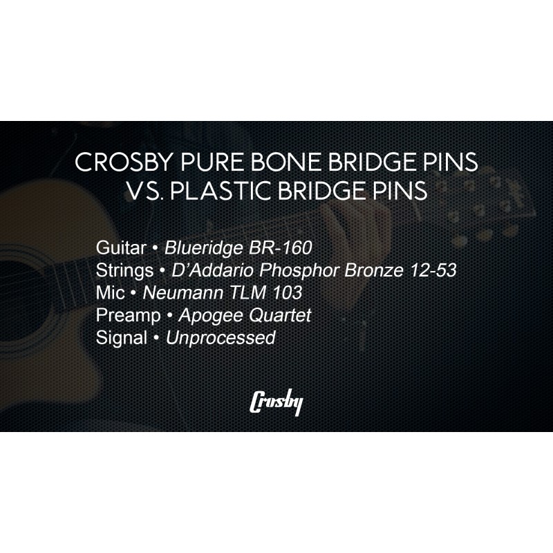 6현 및 12현 어쿠스틱 기타용 전복 도트 인레이가 있는 Crosby Pure Bone Bridge 핀