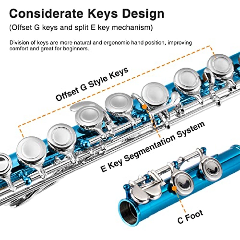 POGOLAB 플루트 폐쇄 구멍 C 16 키 초보자를 위한 플루트 악기 플루트가 있는 오케스트라 학교 밴드 학생 휴대용 가방, 스탠드, 스트랩, 프로브 로드, 장갑, 그리스, 조정 드라이버, 청소 키트