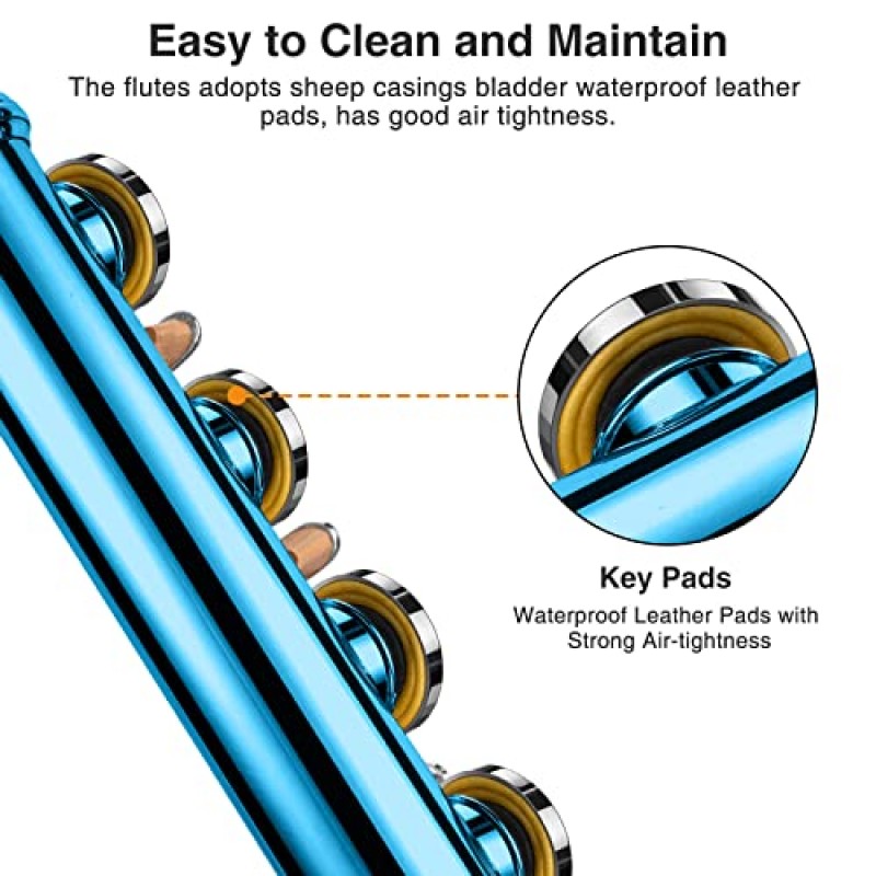 POGOLAB 플루트 폐쇄 구멍 C 16 키 초보자를 위한 플루트 악기 플루트가 있는 오케스트라 학교 밴드 학생 휴대용 가방, 스탠드, 스트랩, 프로브 로드, 장갑, 그리스, 조정 드라이버, 청소 키트