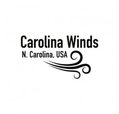 교사가 승인했습니다! Carolina Winds 신뢰할 수 있는 Bb 클라리넷(cw101cla)