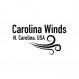 교사가 승인했습니다! Carolina Winds 신뢰할 수 있는 Bb 클라리넷(cw101cla)