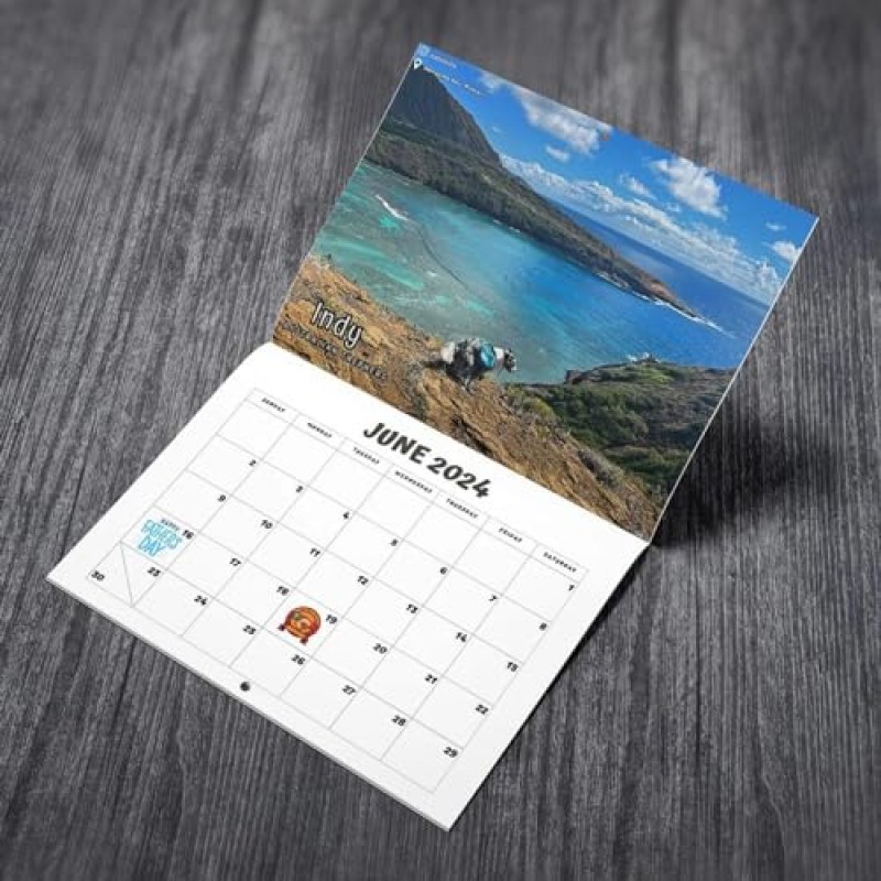 2024 Calander丨Dogs Pooping in Beautiful Places Calendar 2024 벽걸이 달력, 재미있는 벽 예술 개그 유머 선물 친구를 위한 장난 달력, 친구를 위한 선물