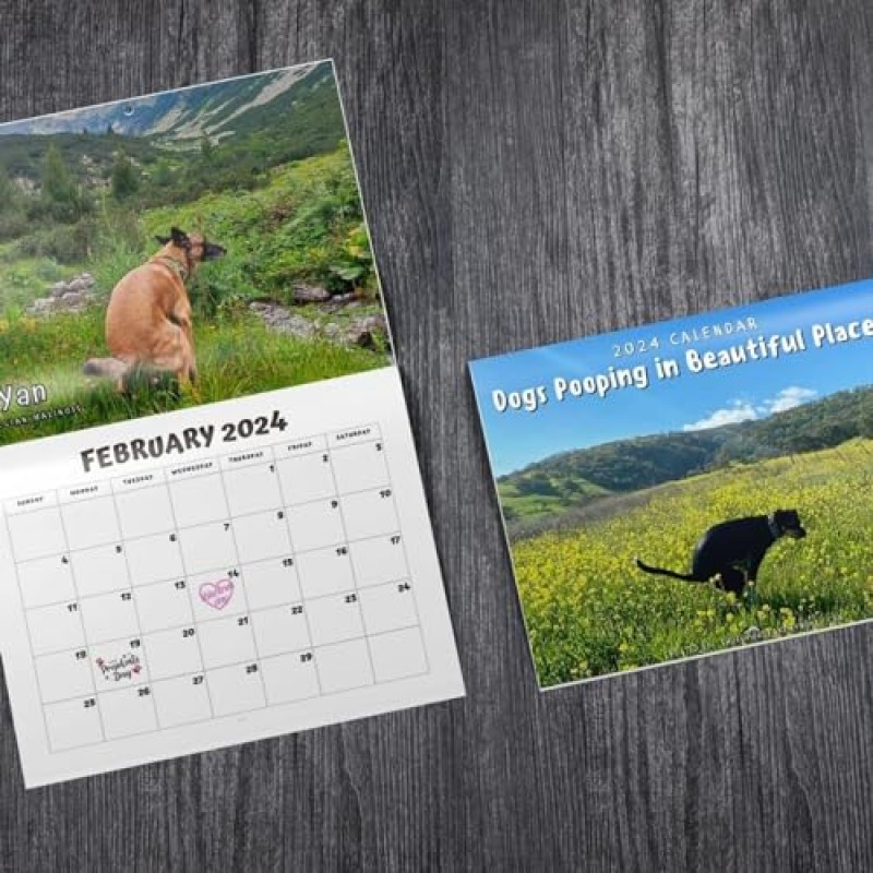 2024 Calander丨Dogs Pooping in Beautiful Places Calendar 2024 벽걸이 달력, 재미있는 벽 예술 개그 유머 선물 친구를 위한 장난 달력, 친구를 위한 선물