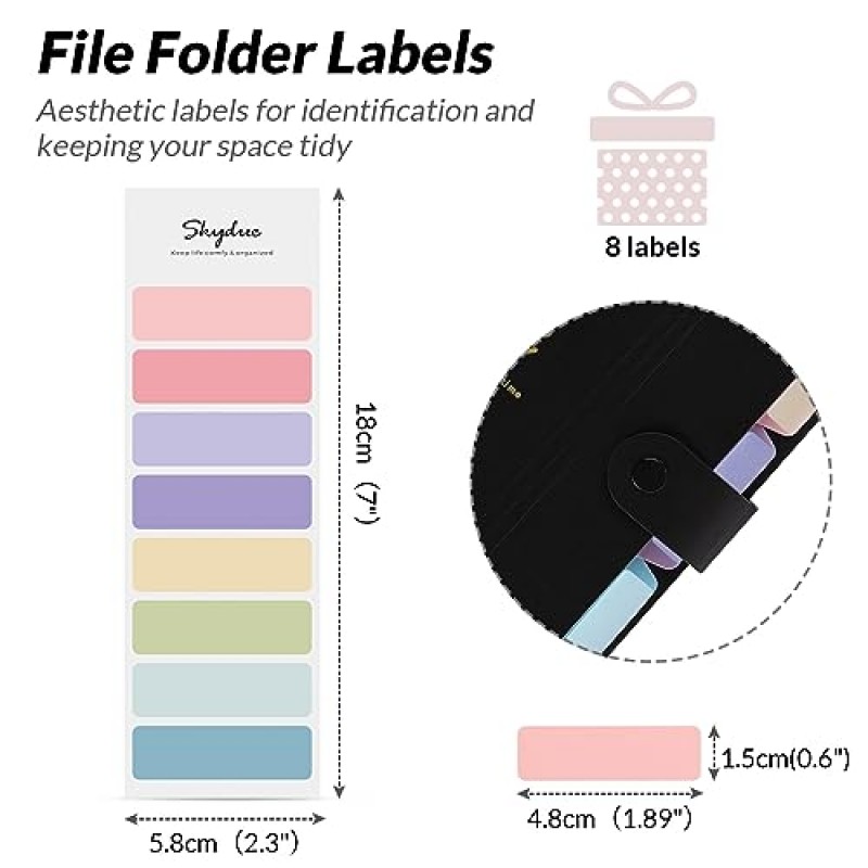 SKYDUE 5 포켓 확장 파일 폴더, 파일 폴더, 라벨이 있는 귀여운 아코디언 파일 정리함, 문서용 Letter 크기 폴더, 2개 팩