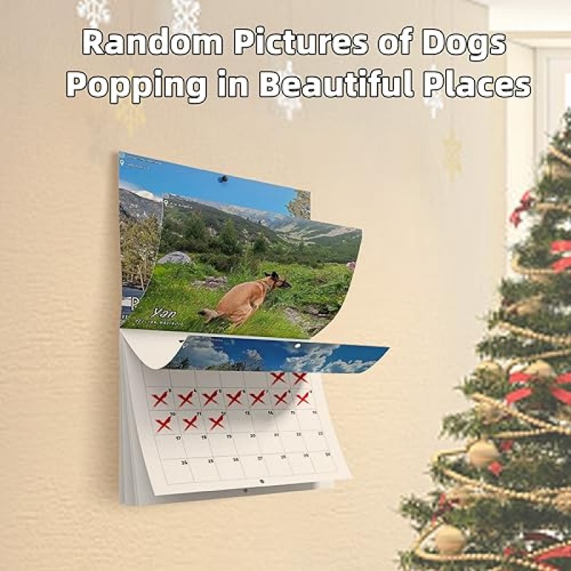 2024 Calander丨Dogs Pooping in Beautiful Places Calendar 2024 벽걸이 달력, 재미있는 벽 예술 개그 유머 선물 친구를 위한 장난 달력 (A)