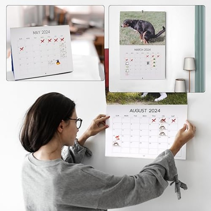 2024 Calander丨Dogs Pooping in Beautiful Places Calendar 2024 벽걸이 달력, 재미있는 벽 예술 개그 유머 선물 친구를 위한 장난 달력 (A)