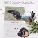 2024 Calander丨Dogs Pooping in Beautiful Places Calendar 2024 벽걸이 달력, 재미있는 벽 예술 개그 유머 선물 친구를 위한 장난 달력 (A)