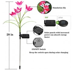 ZYLiWoo-태양 꽃 조명, 6 팩 야외 백합 꽃 조명, 멀티 컬러 변경 LED 24 꽃 백합 꽃 태양 정원 말뚝 꽃 조명, 파티오, 잔디, 정원, 마당 장식용