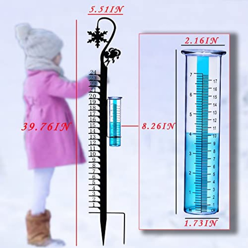 BIUWING 레인 게이지 스노우 게이지 비와 눈 측정을 위한 야외, 이중 목적 게이지, 마당, 정원, 잔디밭용 눈송이 및 레인 게이지 장식