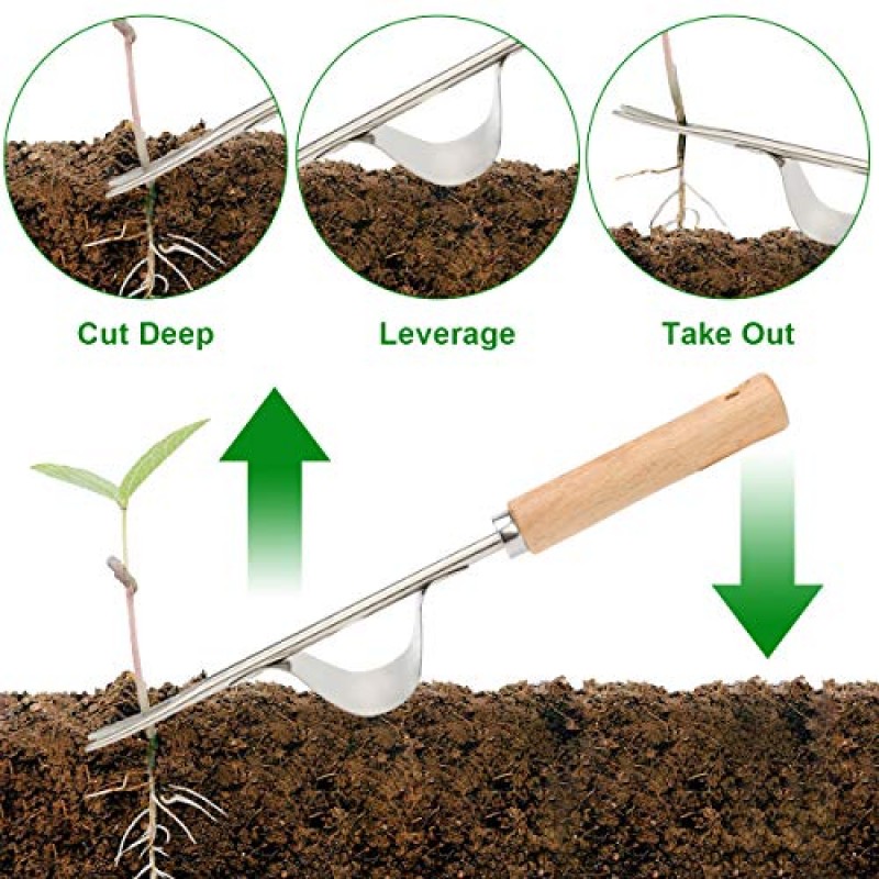 Zhaoyao 잡초 풀러 도구, 정원 균열 손 잡초 제거제, 스테인레스 스틸 틈새 잡초 도구 보도 및 파티오 2 팩용 나무 손잡이가 있는 잔디밭 원예 도구