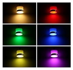 저전압 LED 데크 조명 키트 10개로 구성된 FVTLED 팩 RGB 및 따뜻한 흰색 스테인레스 스틸 방수 야외 조경 정원 마당 파티오 단계 장식 램프 LED 지상 조명(10개, RGBW)