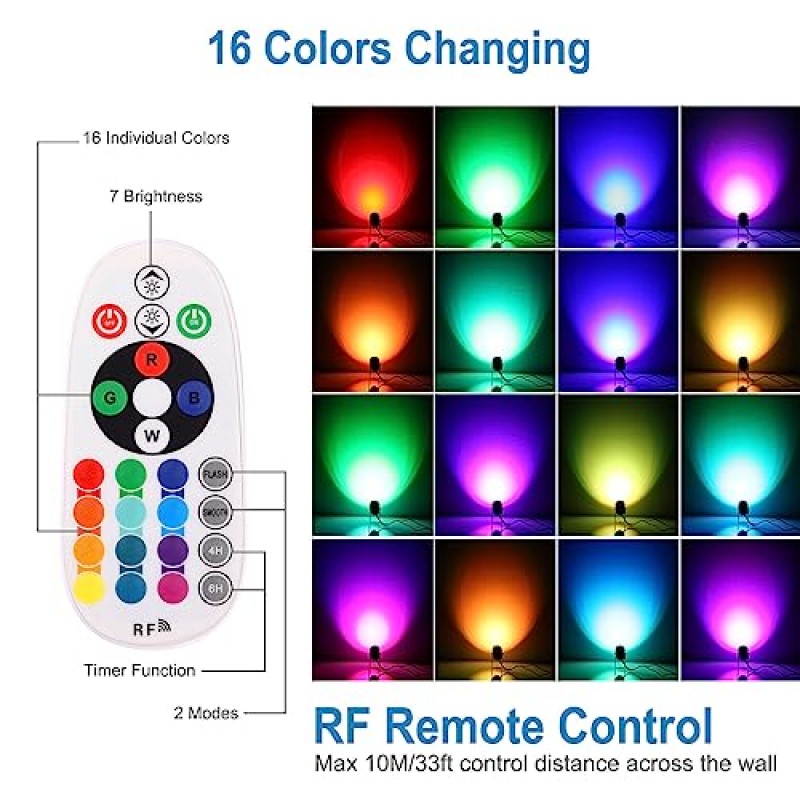 ECOWHO RGB 색상 변경 조경 조명 실외: LED 12V 저전압 스포트 라이트 69피트 확장형 조경 조명(원격 타이머 메모리 포함) 정원 마당 통로 장식용 플러그인 방수 조명