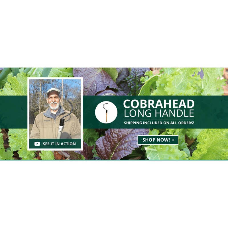 CobraHead® 긴 손잡이 제초기 및 경운기 정원 도구 - 단조 강철 칼날 - 천연 54인치 견목 손잡이 - 땅파기, 가장자리 제거 및 심기를 위해 인체공학적으로 설계됨 - 대규모 정원 작업에 적합